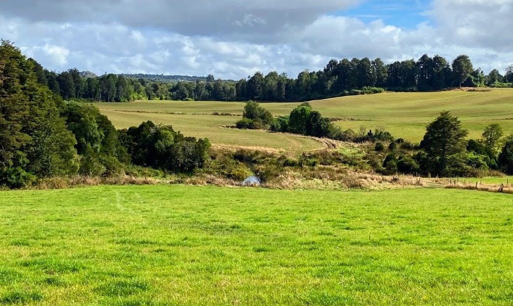 video image